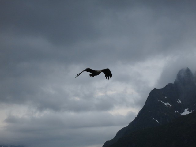Hurtigruten_2015-06-25_16-41-2